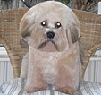 Doodles Dog Grooming in Blackpool